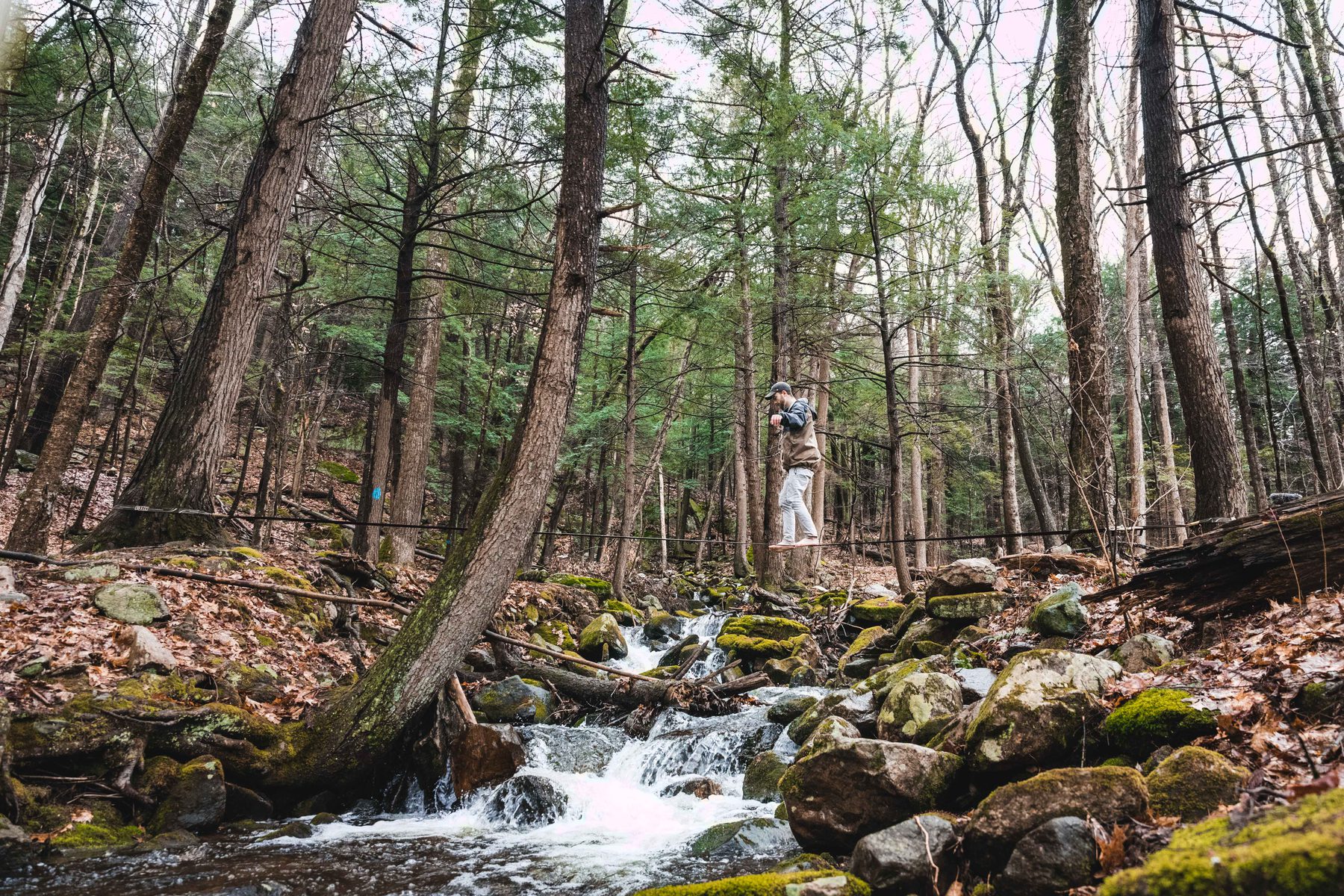 Tom Tranfaglia slacklining across a forest stream